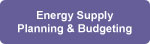 Energy Supply Planning & Budgeting